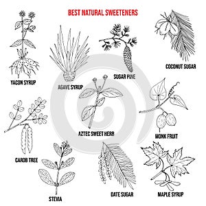 Best natural sweeteners photo