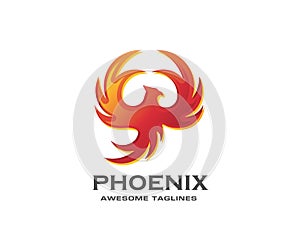 best phoenix bird logo design