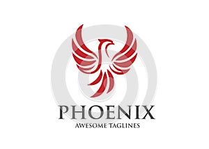 Best phoenix bird logo design