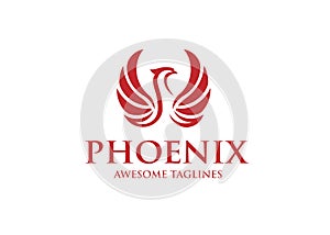 Best phoenix bird logo design