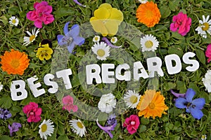 Best regards flower meadow letter