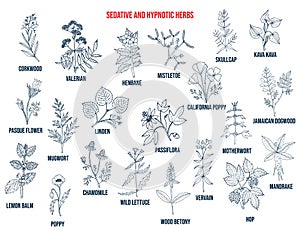 Best sedative and hypnotic herbs