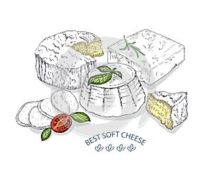 Best Soft Cheese. Vector sketches hand drawn illustration