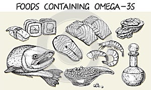 Best sources of omega 3 vector sketch. Health Care concept sketch