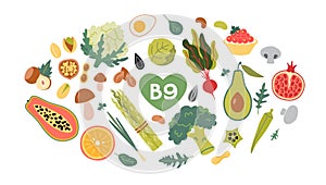 Best sources of vitamin B9 foods, cartoon style. Fruits, vegetables and nuts set. Isolated vector illustration, hand