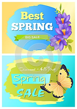 Best Spring Big Sale Advertisement Labels Crocus