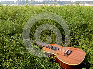 The Best Stock Image of Ukulele Instrument with natural environment, Nature Sounds Nature Music - nature lovers