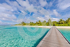Best summer travel panorama. Maldives islands, tropical paradise coast, palm trees, sandy beach with wooden pier