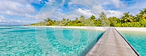 Best summer travel panorama. Maldives islands, tropical paradise coast, palm trees, sandy beach with wooden pier