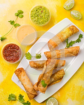Best Taquitos with sauce photoshoot