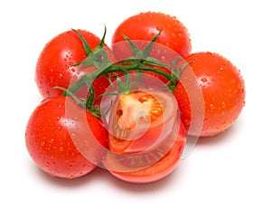 Best tomatos 4