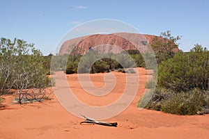 Best view : Ayers rock