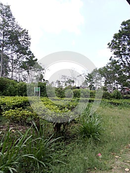 the best view, beautiful view in mountain