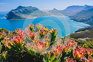 Best View of Houtbay, South Africa.