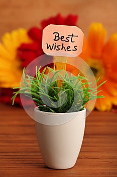 Best wishes