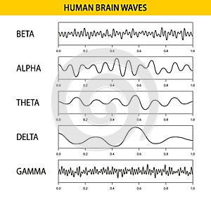 Beta, alpha, theta, delta, gamma brain waves. Set of brain waves oscillation. Human rhythm, types, amplitude of mind