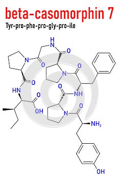 Beta-casomorphin peptide 7 molecule. Skeletal formula. Chemical structure