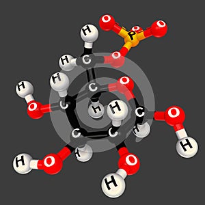 Beta-D-glucose-6-phosphate