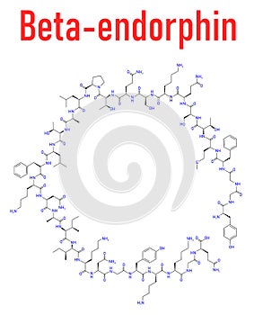 Beta-endorphin endogenous opioid peptide molecule. Skeletal formula. photo