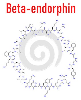 Beta-endorphin endogenous opioid peptide molecule. Skeletal formula.