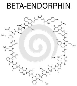 Beta-endorphin molecule. Skeletal formula.