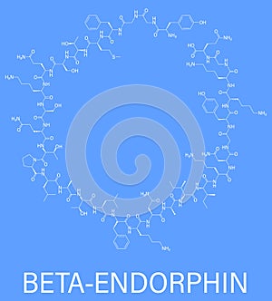 Beta-endorphin molecule. Skeletal formula.