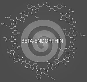 Beta-endorphin molecule. Skeletal formula. photo