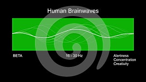 Beta Human Brain Waves Diagram.