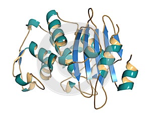 Beta-lactamase enzyme from Staphylococcus aureus. Responsible for resistance against penicillin and related antibiotics