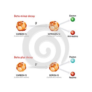 Beta-plus and Beta-minus decay