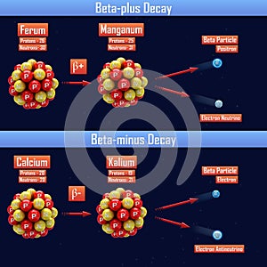 Beta-plus Decay and Beta-minus Decay