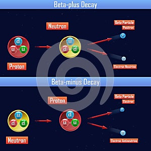 Beta-plus Decay and Beta-minus Decay photo