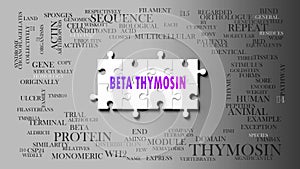 Beta Thymosin as a complex subject, related to important topics spreading around as a word cloud photo
