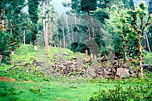 Betaab valley (2)