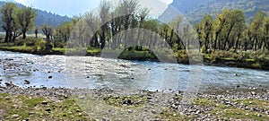 Eye catching view of the beautiful Betaab Valley in Pahalgam, Kashmir photo