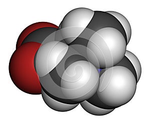 Betaine (glycine betaine, trimethylglycine) molecule. Originally found in sugar beet (Beta vulgaris). Atoms are represented as