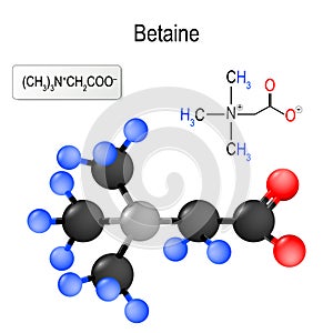 Betaine. Structure of a molecule.