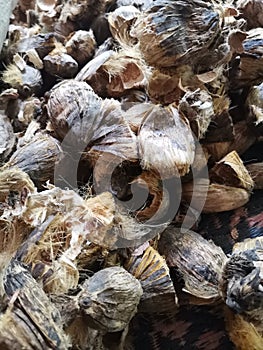 Betal nut husk redy to sell