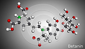 Betanin, molecule. It is betalain plant pigment, red glycosidic food dye, E162. Molecular model. 3D rendering