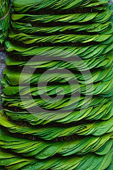 Betel or betal leaves