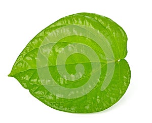 Betel on isolated background.