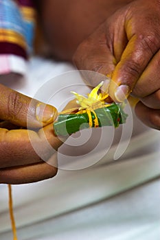 Betel Leaf and Areca Nut