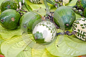 Betel leaf and the nuts or Areca Catechu (Trau Cau) necessary to make paan, a necessary and traditional intake at Tet holiday