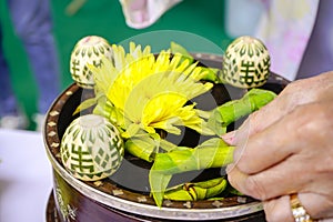 Betel leaf and the nuts or Areca Catechu (Trau Cau) necessary to make paan, a necessary and traditional intake at Tet holiday