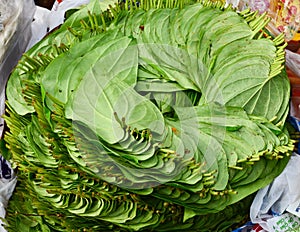 Betel leaf