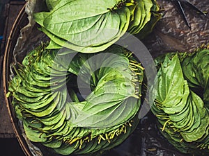 Betel leaf stack in Basket Top view Asian herb Food and medicine