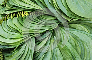 Betel leafs