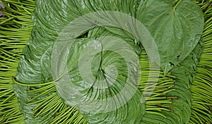 Betel leaves  decorated nicely in a basket for sale and  it is known as paan.