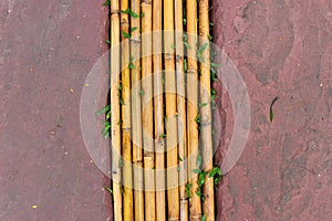 Betel leaves frame on bamboo
