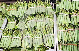 Betel leaves at a market in Myanmar